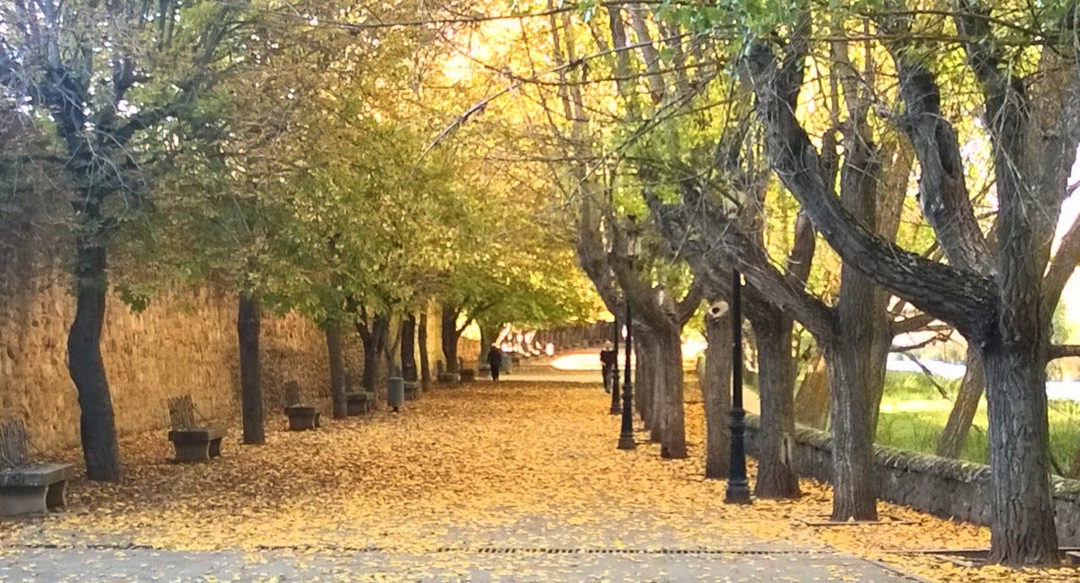 Alameda de nosédónde en Soria