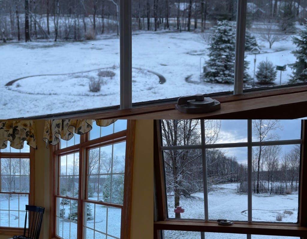 Snow-filled backyard picture taken from the dining room of a house with multiple paned windows.  Several large pine trees have just a bit of green is peaking through their snow coverings can be seen through the bay window, while the other window shows a snow-covered yard and golf course with clusters of leafless trees.