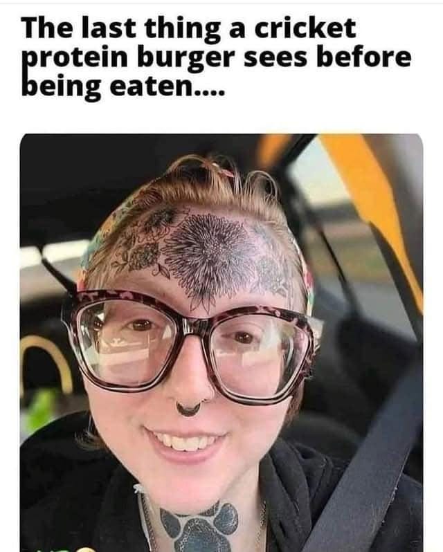 May be an image of 1 person and text that says 'The last thing a cricket protein burger sees before being eaten....'