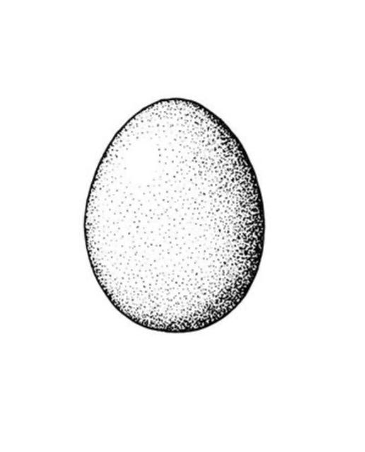 The Manifold Substack