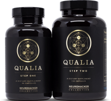 Qualia