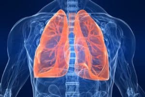 TB bacteria usually grow in the lungs