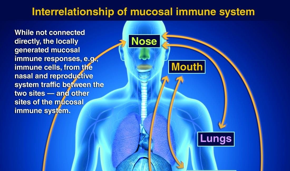 Covid19 mRNA Jabs don't work. Claims of Mucosal IgA Immunity in the Lungs are hotly debated.
