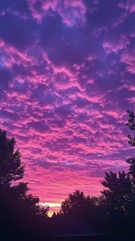 Free Vibrant sunset sky Image - Sunset, Sky, Purple | Download at StockCake