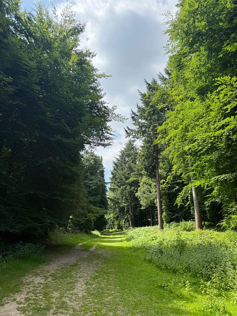 A woodland firepit circle, a view of the ocean from the clifftop with wildflowers in the foreground, a path in the woods, a wooden sign stating 'woodland path' and 'pond', a view of the sunset over a lake surrounded by grassland, a handbuilt hops hut