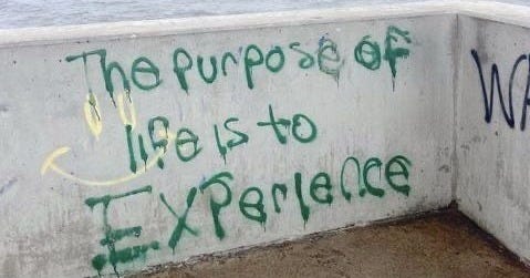 This may contain: graffiti written on the side of a concrete wall next to the ocean with water in the background This may contain: graffiti written on the side of a concrete wall next to the ocean with water in the background