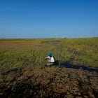 National parks are for more than tourism