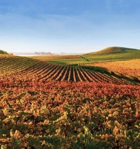 Bouchaine Winery offers extensive virtual visits with wine maker face time, for a fee.