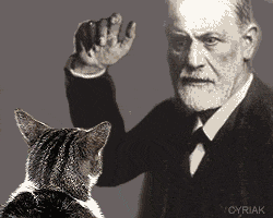 Sigmund Freud and cats... Sigmund Freud and cats...