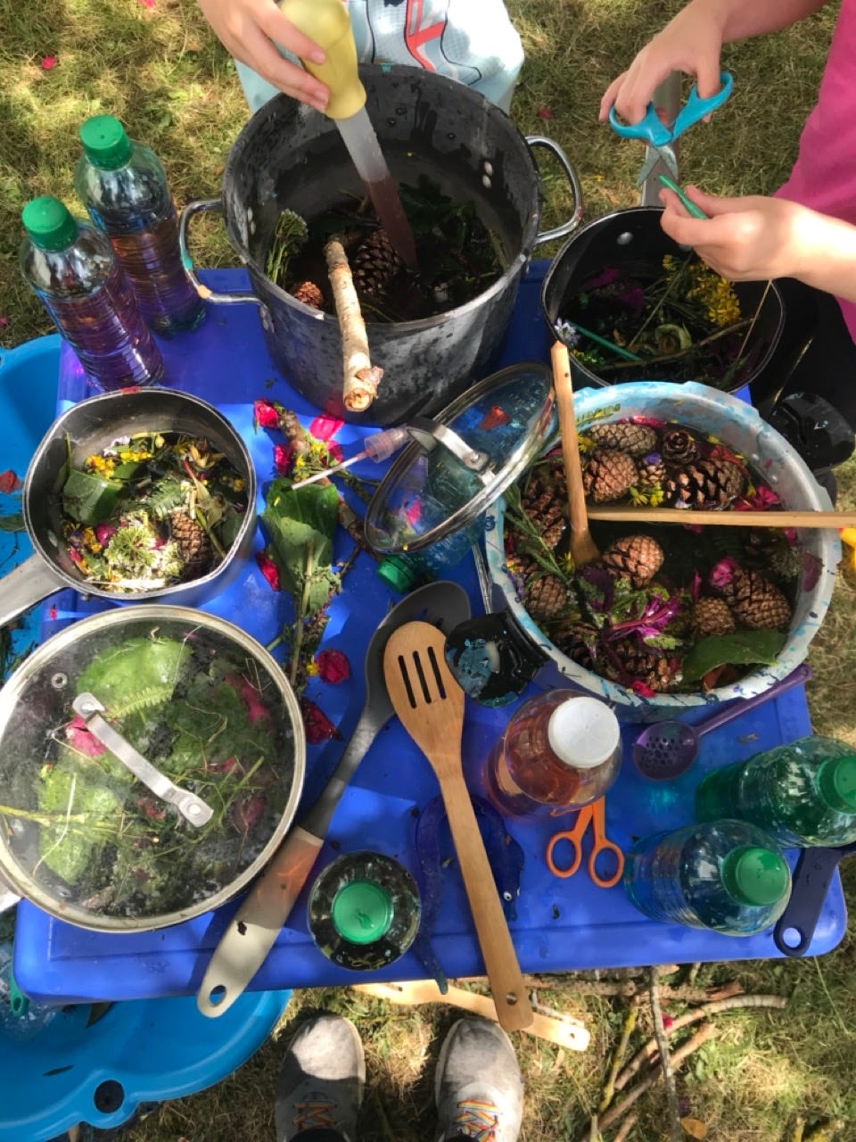 Nature Soup - The Occuplaytional Therapist