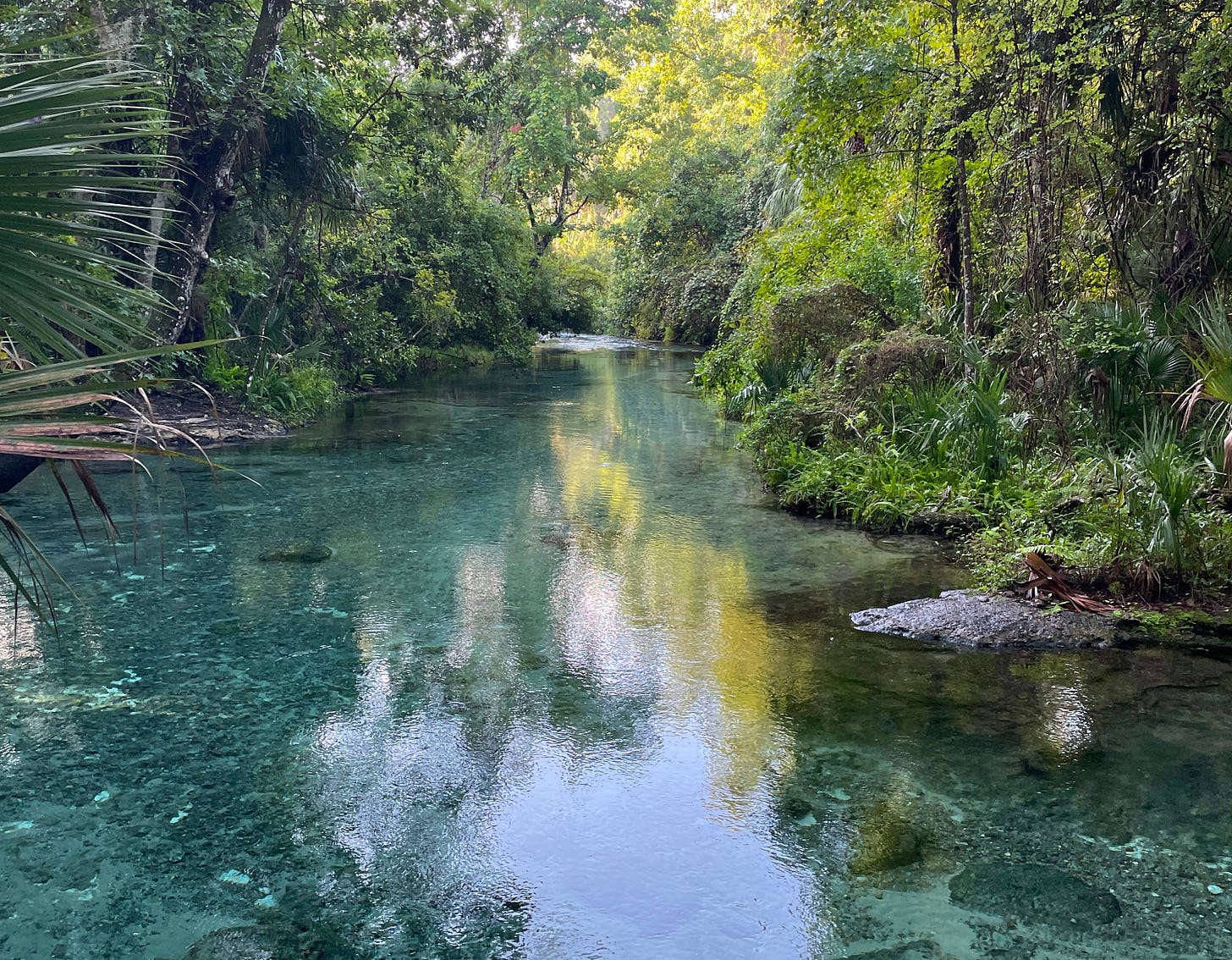 A crystal blue river and bright green trees/foliage