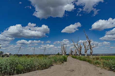 Traces of devastation and resilience in Andriivka. Amidst the shattered remains of buildings, rusted debris, and skeletal trees stripped bare by war, nature begins its quiet defiance — stubborn green shoots rising through the scars of conflict. (VX Photo/ Vudi Xhymshiti)