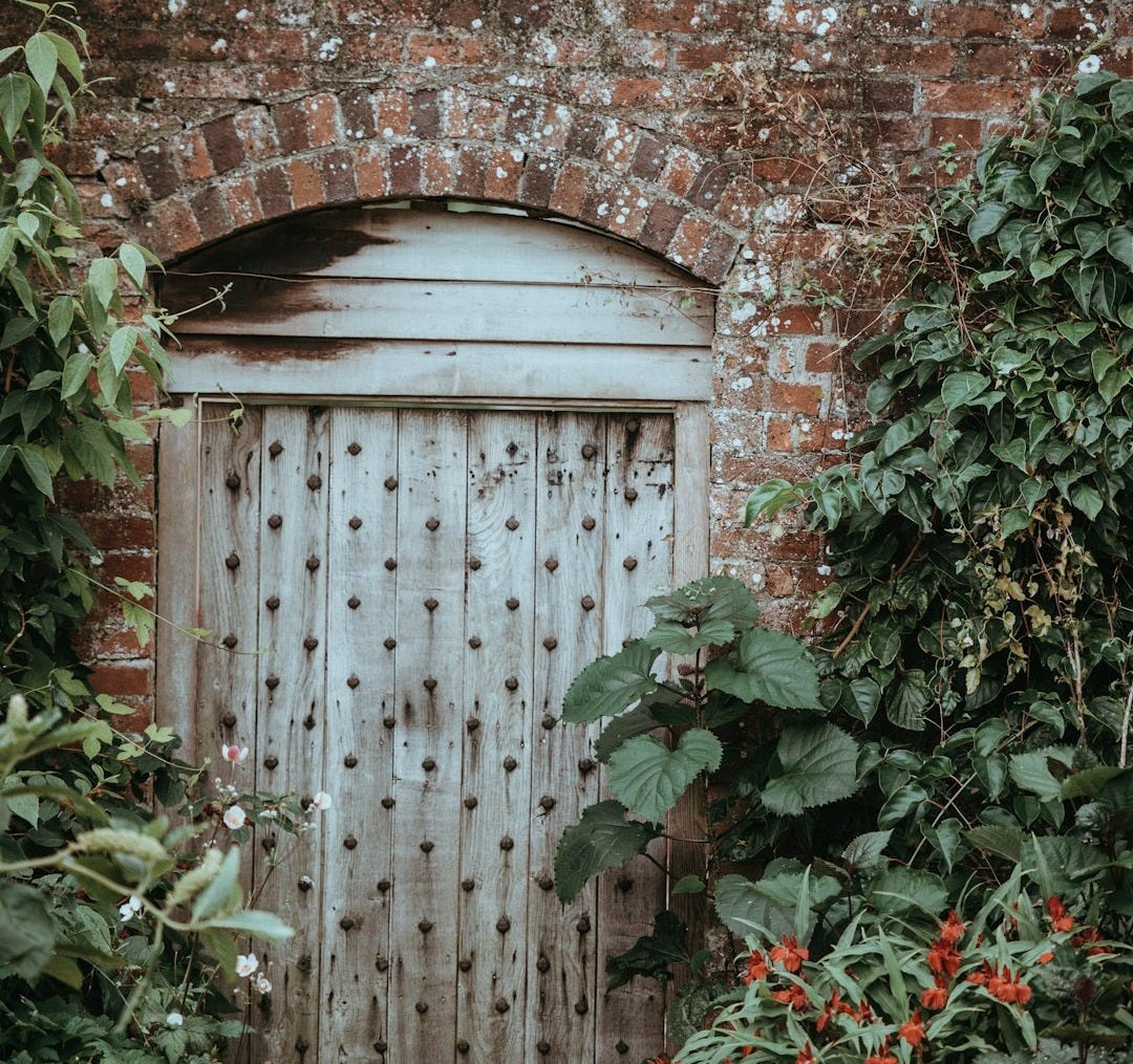 white wooden door beside green leaf