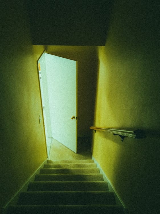 Steps and the Door to the Basement · Free Stock Photo