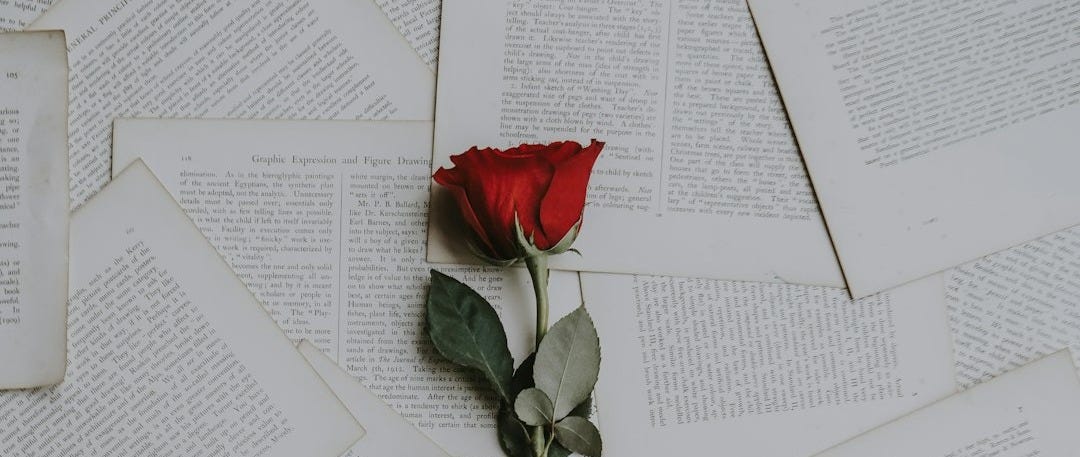 red rose on book sheets red rose on book sheets