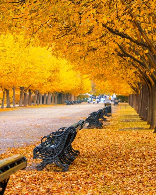 May be an image of nature