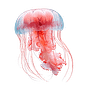 Consultores IA's avatar