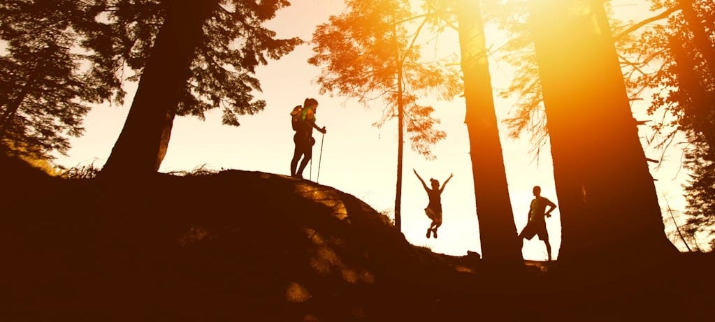 silhouette photo of three person near tall trees