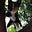 Feline Mignon's avatar
