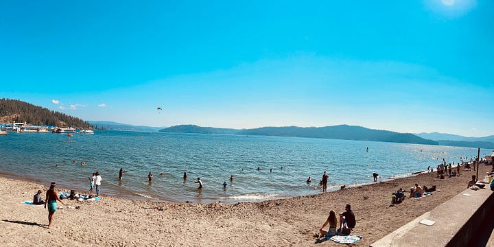 beach, lake, mountain, sky, drinks, animals