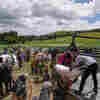 Ukraine crisis raises question: Does food aid go equally to 'Black and white lives'?