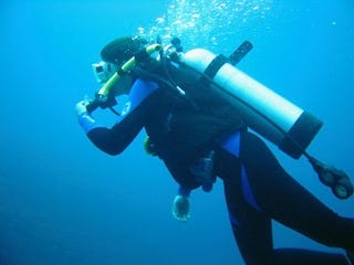 Three images of a scuba diver underwater, one with a sea turtle.