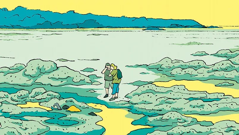 Inès Léraud et les algues vertes : un combat pour la vérité – Maison des  Lanceurs d'Alerte