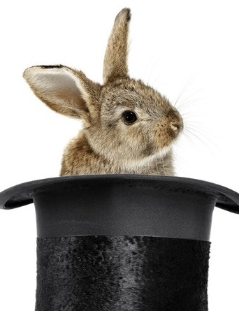 Bunny In Top Hat: Over 1,373 Royalty-Free Licensable Stock Photos |  Shutterstock
