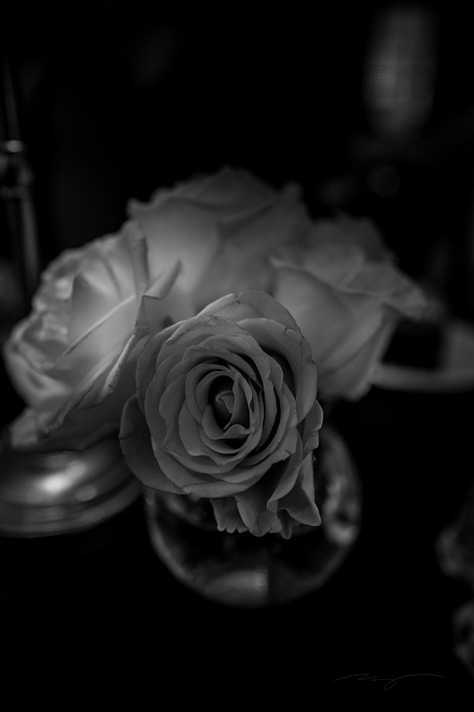flowers, coffee, and poetry on campus