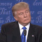 Sounds Like Trump's Call With Turkey Was Not Very 'Perfect' :(