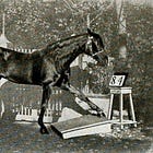The Expert Commission