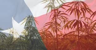 Texas Cannabis Legalization: What the ...