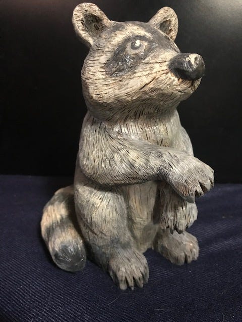 Raccoon by Janet Wolfinger
