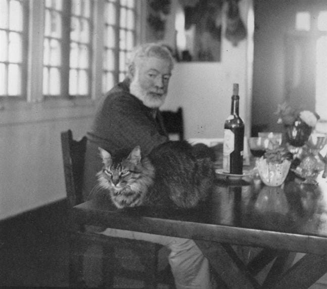 Hemingway Shoots His Cat – The Marginalian