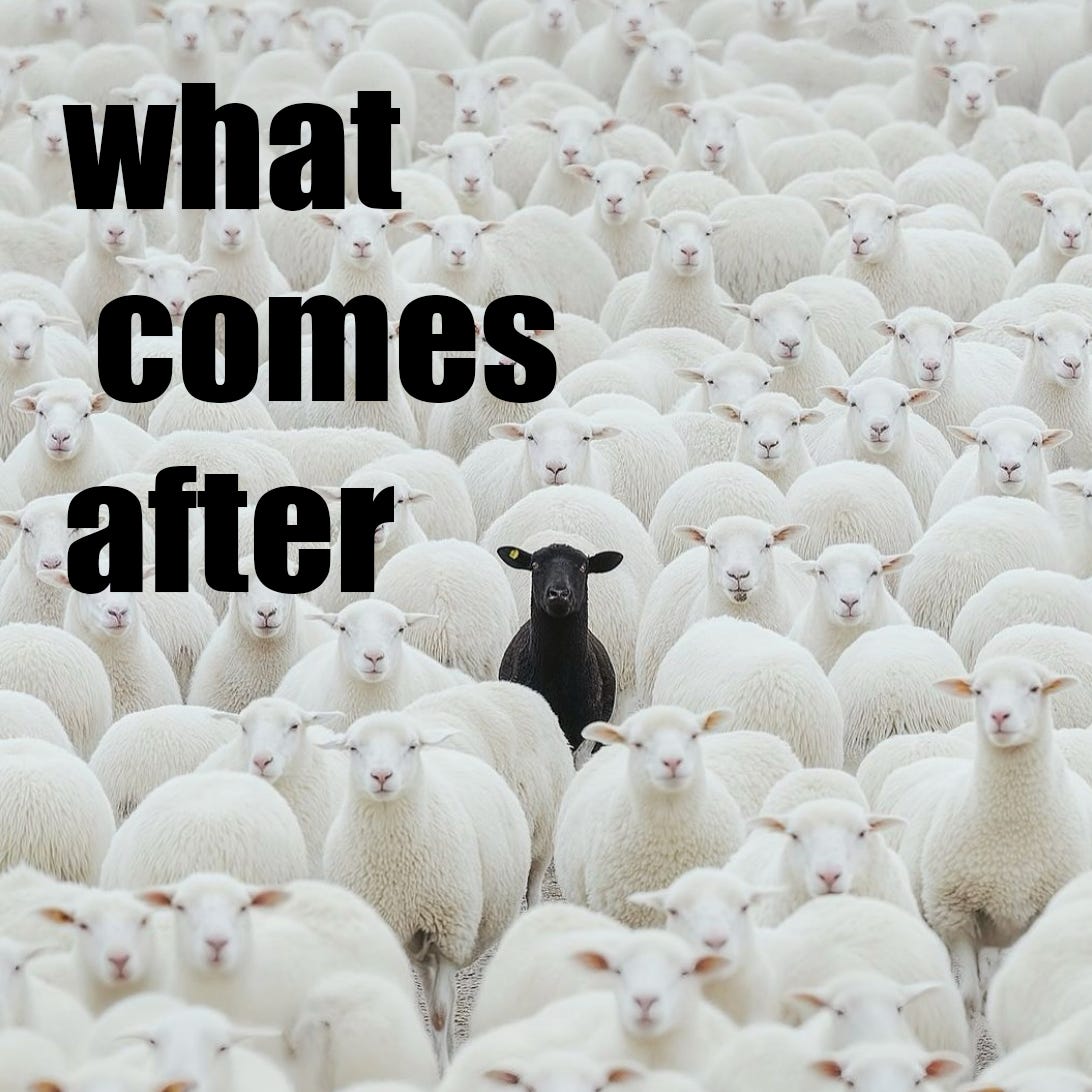 WHAT COMES AFTER-by Alix Petit