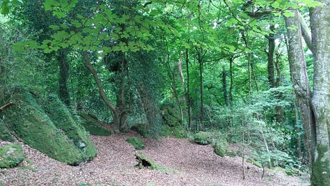 From Murder Between the Tides: