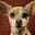 Gorditadogg's avatar