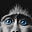 Scott Moon Sharon's avatar