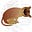 Avatar de gatografias