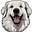 Regenerated Sheepdog's avatar