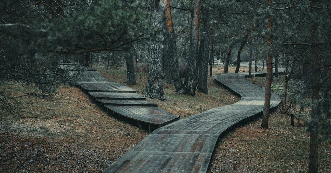 a wooden bridge with a boat on it surrounded by trees