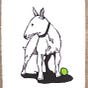 Sandie Fletcher's avatar