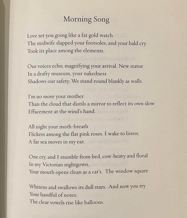 r/Poetry - [POEM] Morning Song, by Sylvia Plath.