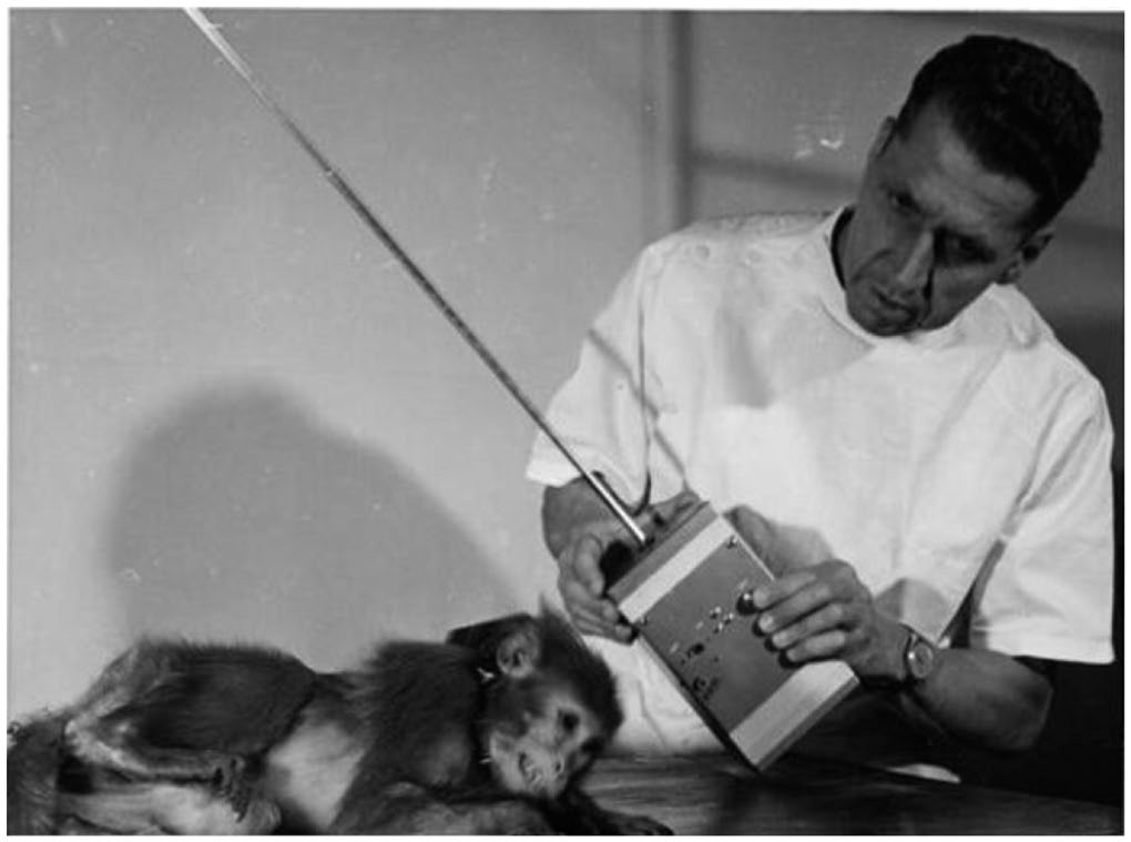 Jose Delgado: A controversial trailblazer inneuromodulation | Artificial  Organs