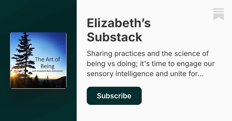 Elizabeth’s Substack | Substack