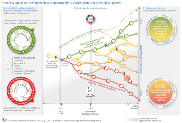 Windows of adaptation