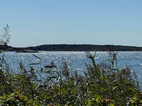 Images of the beach in sweden and few distant family members