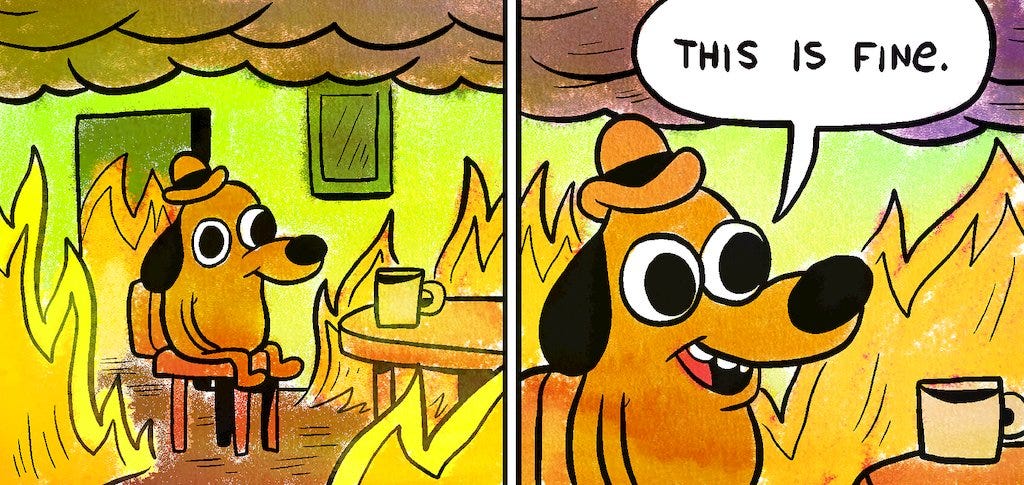 Why 'This Is Fine' Is the Meme This Year Deserves - The New York Times