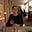 Deborah Bucknam's avatar