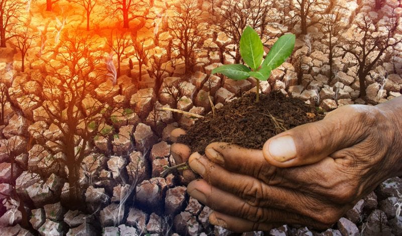 BBC Climate Disinformation Reporter Attacks Kenyan Farmer BBC Climate Disinformation Reporter Attacks Kenyan Farmer